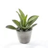 Agave finta in vaso Ø12xH23 cm verde