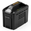 Batteria 48V Alpina 2Ah
