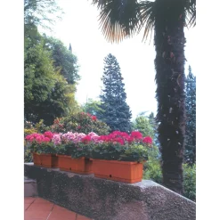 Cassetta Itaca con sottocassetta 50x20x17 cm in plastica terracotta