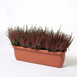 Cassetta Unica 40x20x16,4 cm in plastica terracotta