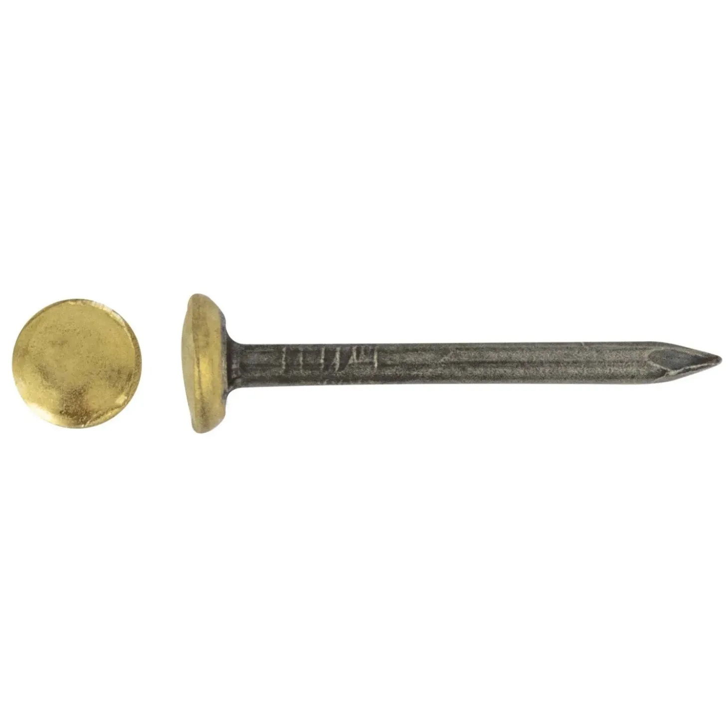 Chiodo acciaio testa bombata in ottone blu temperato 2x40 mm 12 pz