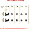 Cibo secco per gatti Royal Canin Hair & Skin Care 400 g