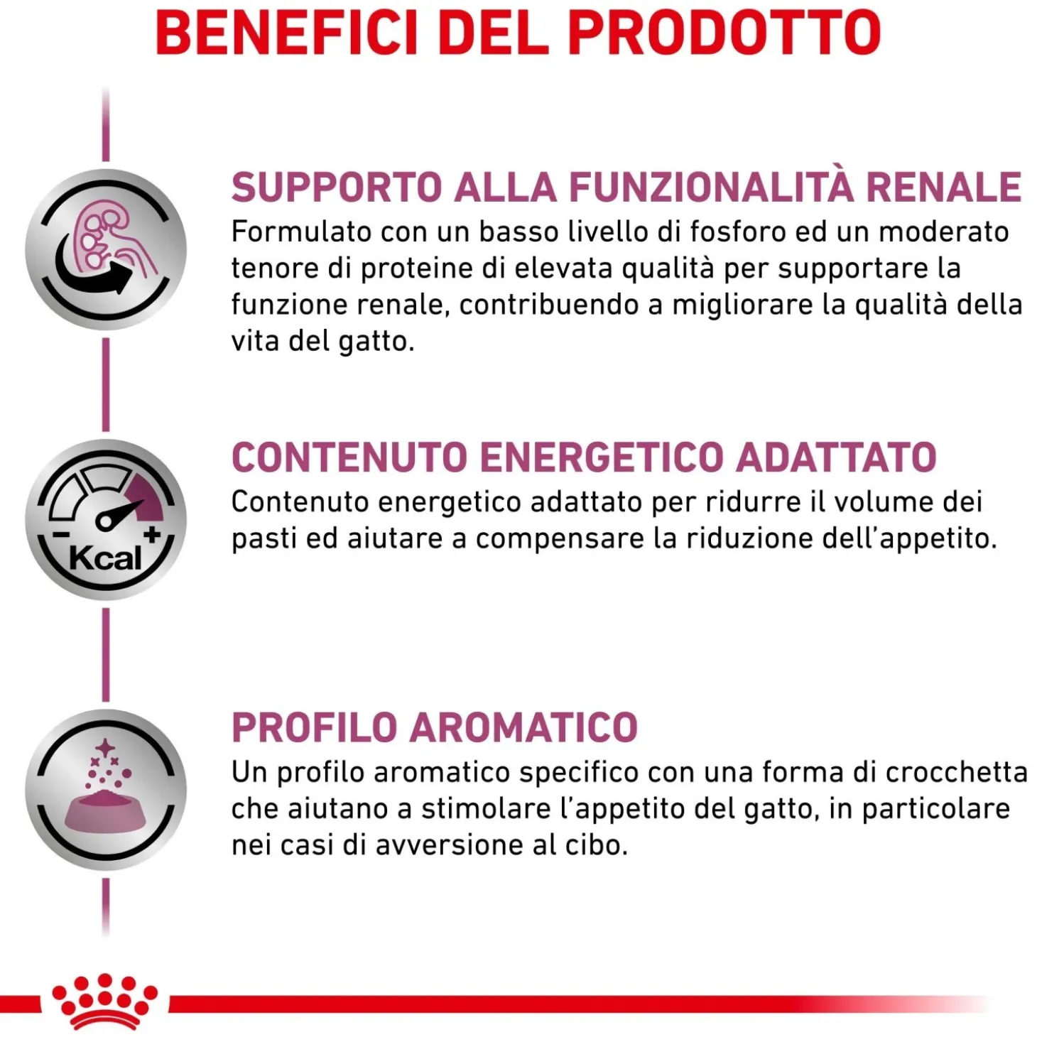 Cibo secco per gatti Royal Canin Renal 2 kg