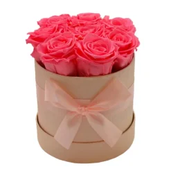 Composizione rosa stabilizzata ceramica