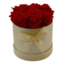 Composizione rosa stabilizzata scatola 11 rose