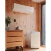 Controllo per climatizzazione smart Netatmo - pack doppio