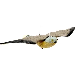 Falco dissuasore per volatili