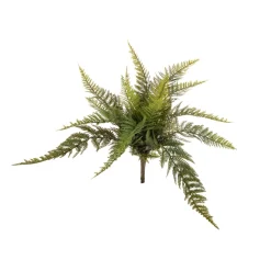 Felce boston 39 cm