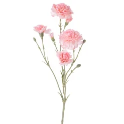 Garofanello 62 cm