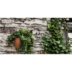 Gerla in terracotta rigata 25 cm