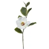 Magnolia 20x16 cm