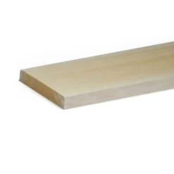 Pannello di ayous per modellismo 20x100x1000 mm