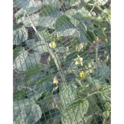 Rete Defender antigrandine, 2 x 5 m, colore verde