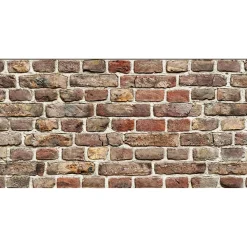 Rivestimento in polipropilene Plastonda Decor Brick 50x100 cm 0,5 m²