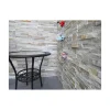 Rivestimento Pietra naturale beige 13 x 38 cm