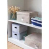 Scatole in cartone Shirt set 2 azzurro 40x31x21 cm