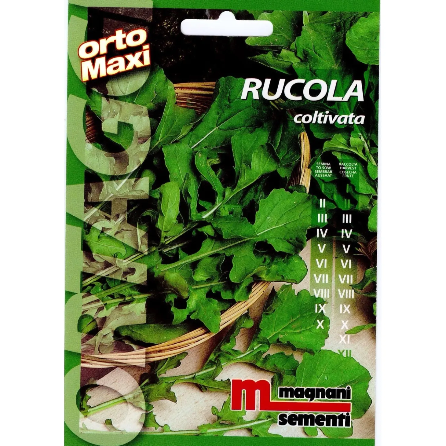 Semi aromi Rucola coltivata