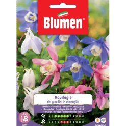 Semi Blumen Aquilegia dei giardini in miscuglio