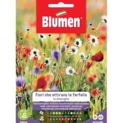 Semi Blumen miscuglio di fiori che attirano le farfalle