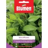 Semi Salvia officinalis Blumen