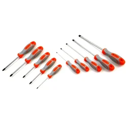 Set 10 cacciaviti assortiti