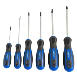 Set cacciaviti in acciaio cromo vanadio 6 pz
