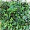 Siepe artificiale Saltus in polietilene H 1 m x L 0,5 m verde
