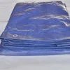 Telo occhiellato multiuso Tenax Cover All in polietilene 2x6 m verde-blu