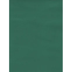 Tenda da sole a caduta verticale con rullo 150x250 cm verde