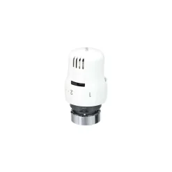 Testina termostatica con ghiera