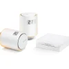 Valvole intelligenti Starter pack Smart Home Netatmo per termosifoni